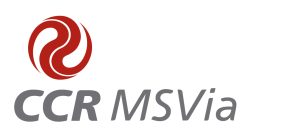 Logotipo MSVIA
