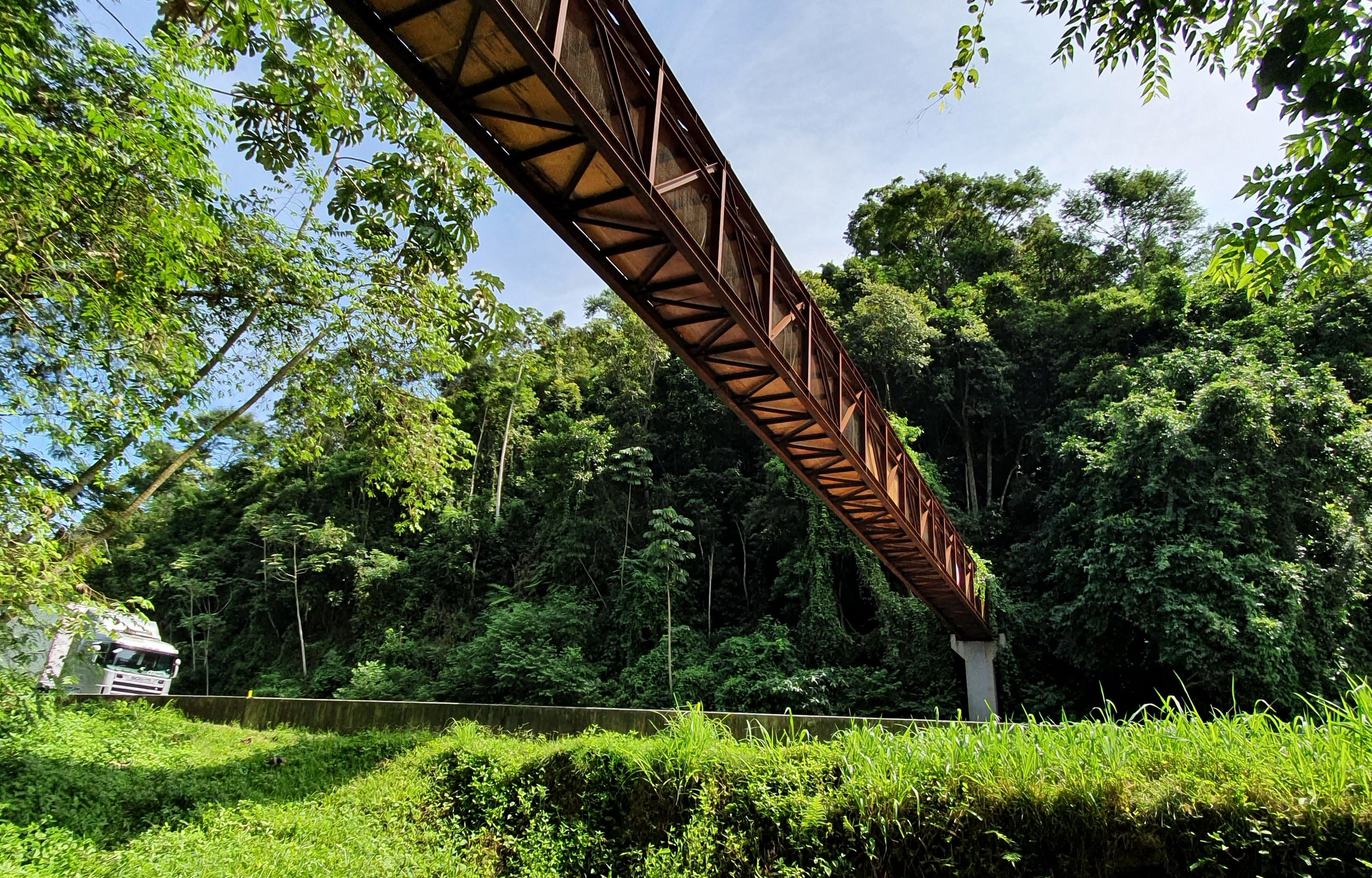 Sustentabilidade e Inovação