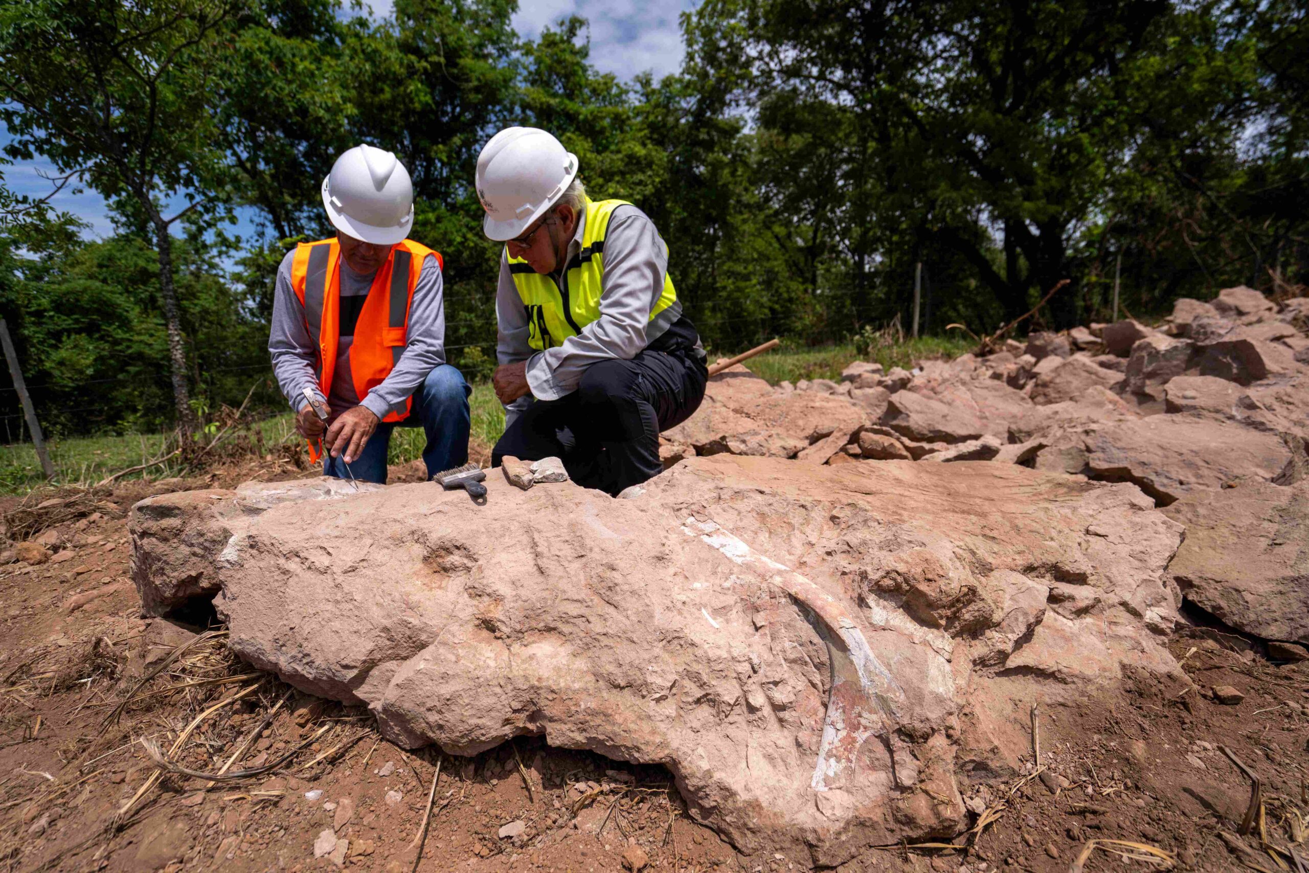 Mais 22 blocos com fósseis são encontrados em obra na BR-050, em Uberaba-MG