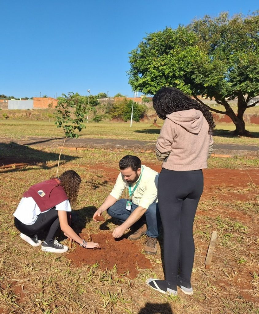 Desde sua fundação a empresa já reflorestou 1.400 hectares, equivalente a 1.960 campos oficiais de futebol de 7.140 metros quadrados cada.