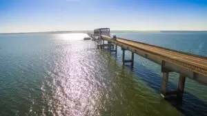 A ponte fica na SP-333 e tem 2,4 km de extensão. Plano ambicioso é implementado para proteger o meio ambiente e valorizar a vida silvestre.